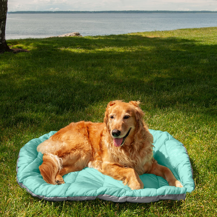 Waterproof outdoor dog outlet bed